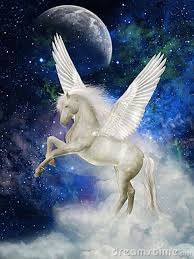 Pegasus White